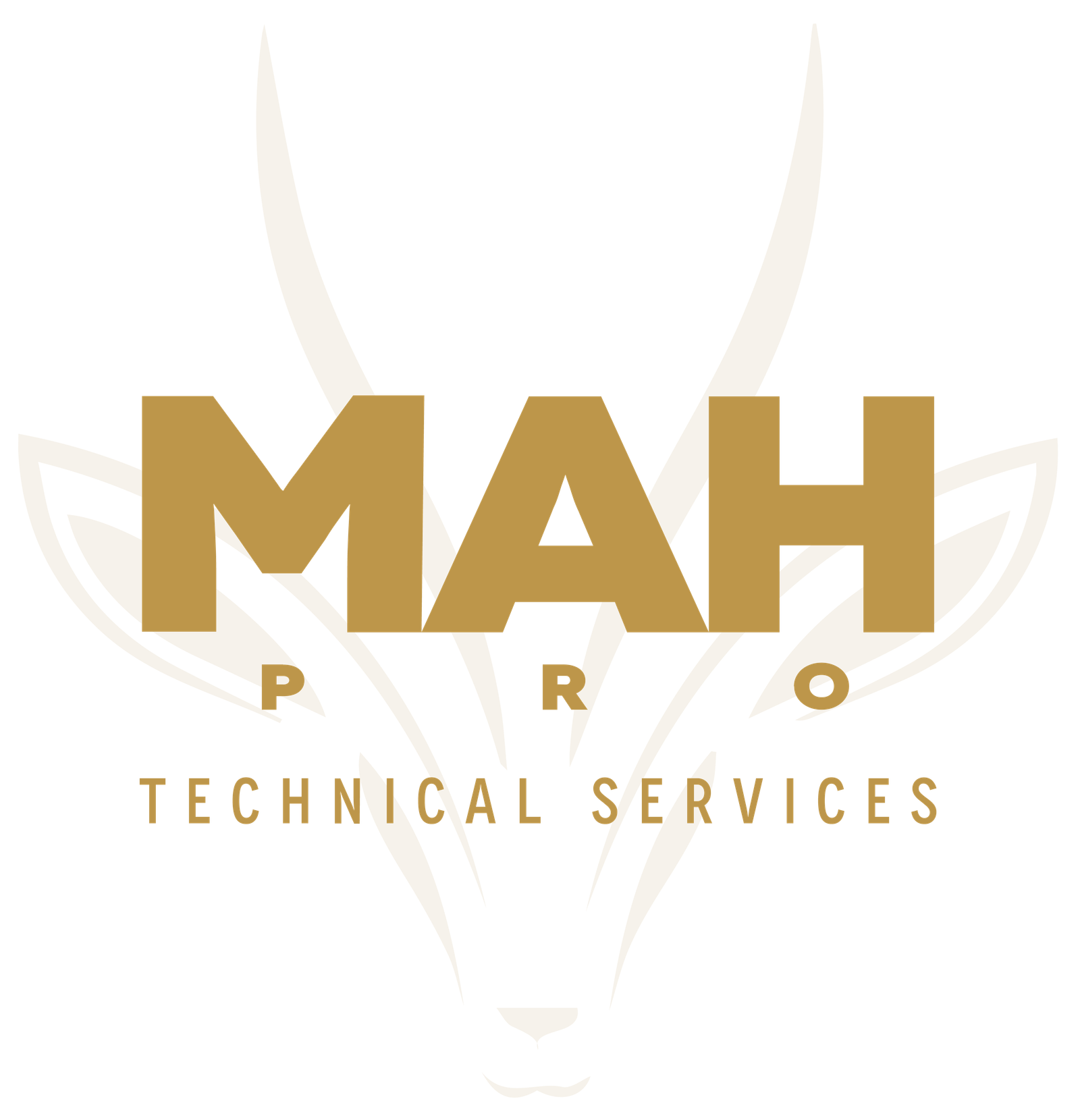 MAH PRO TECHNOCAL SERVICES